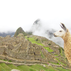 Incredible Machu Picchu