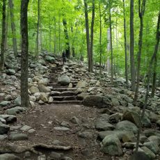 5 Best Kid Friendly Hiking Trails in NJ