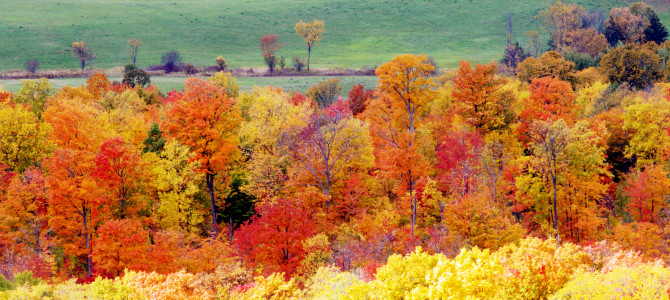 Vermont Fall Foliage