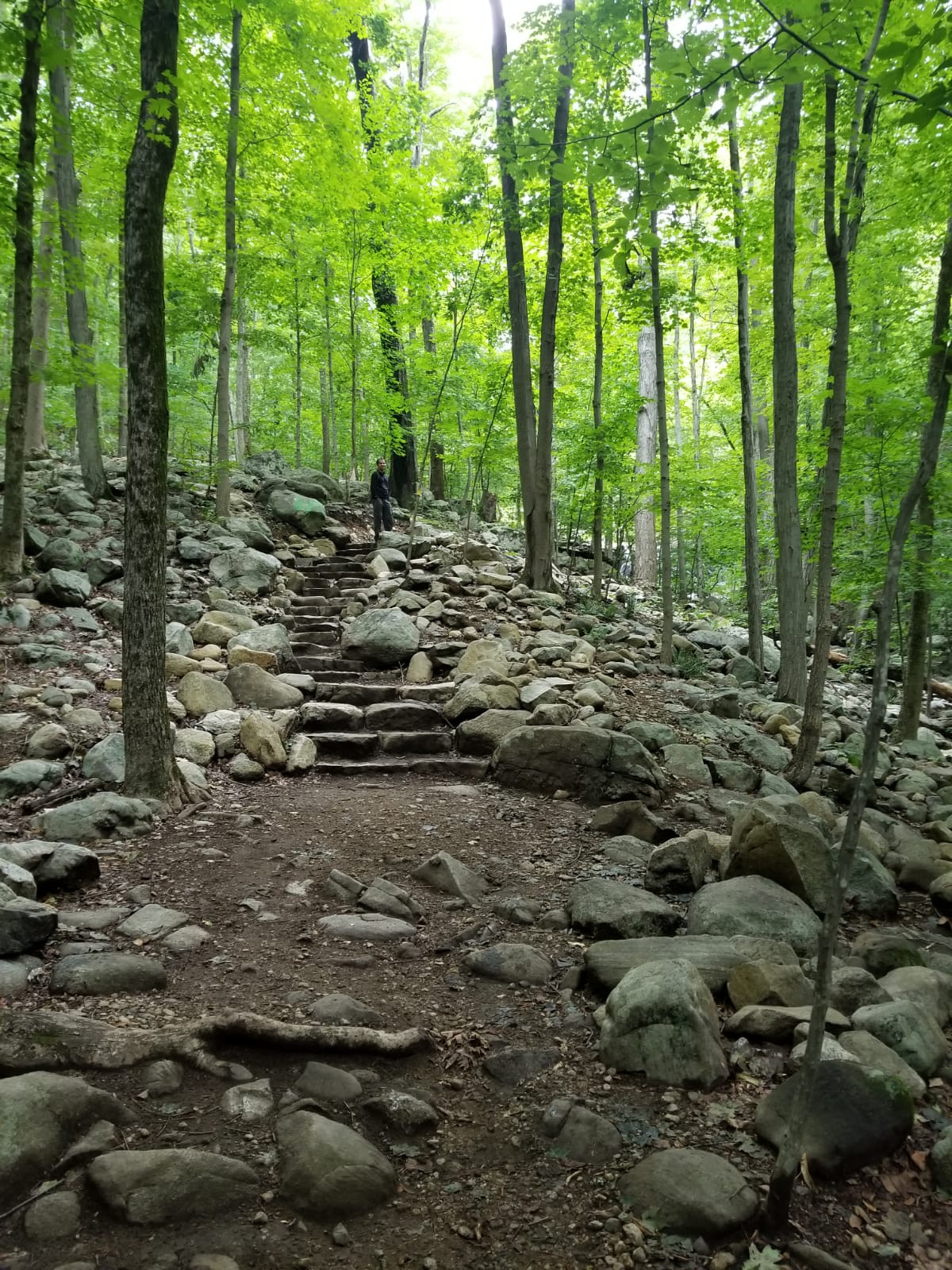 5 Best Kid Friendly Hiking Trails in NJ lens and sunscreen